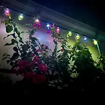 Kalosyni Lefkada Holiday home Agios Petros (Lefkada)
