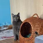Casa vacanze Kalosyni Lefkada *