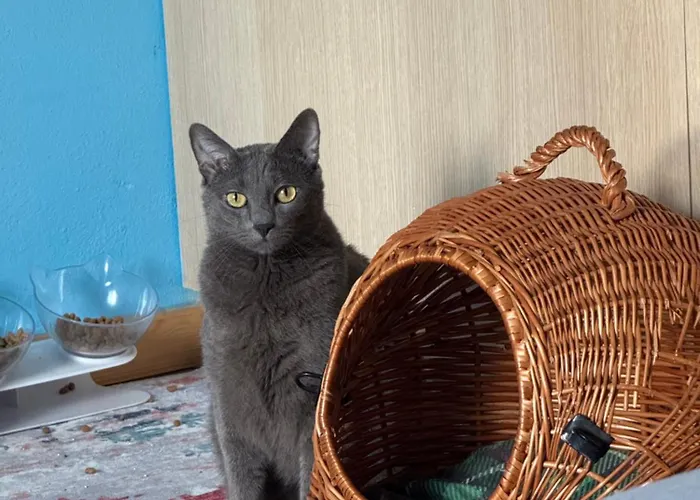 Holiday home Kalosyni Lefkada *